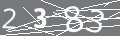 capsa